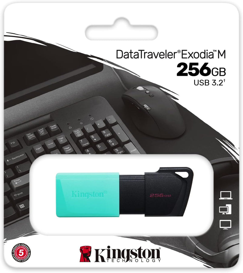 Kingston DataTraveler USB-A 3.2 Flash Drive 256GB